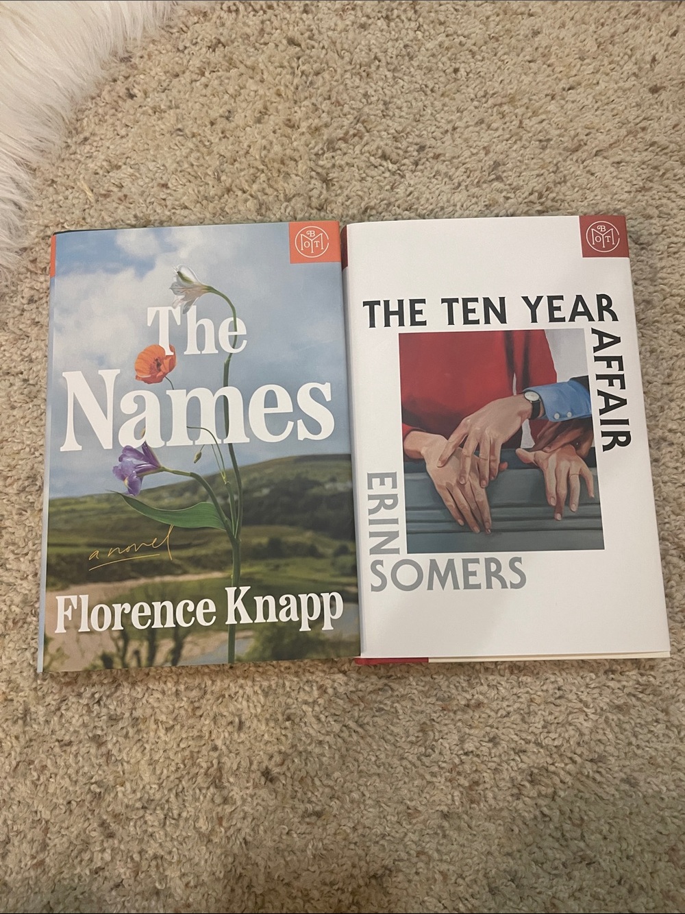 Fiction book bundle: The names & the ten year affair